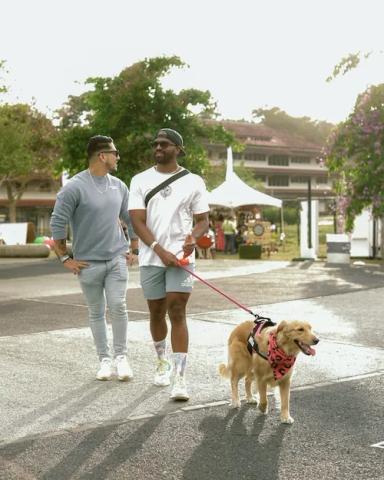 soy un alt por defecto por favor validar en imagen