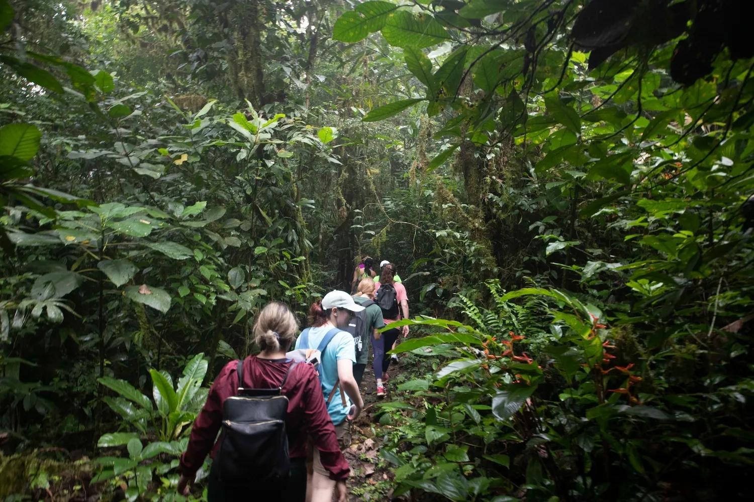 Participantes de una caminata natural de Ciudad del Saber