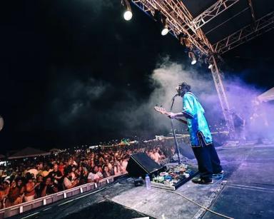 soy un alt por defecto por favor validar en imagen