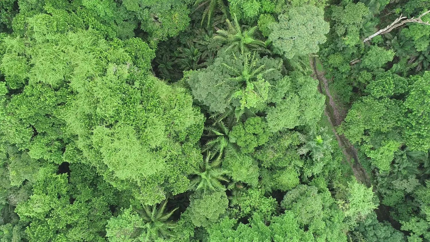 Vista aérea de la reserva